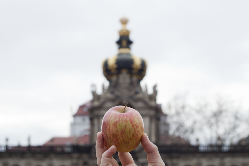 Ein Fuji in Dresden